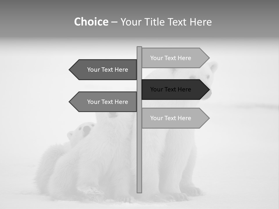 White Paw Northern PowerPoint Template