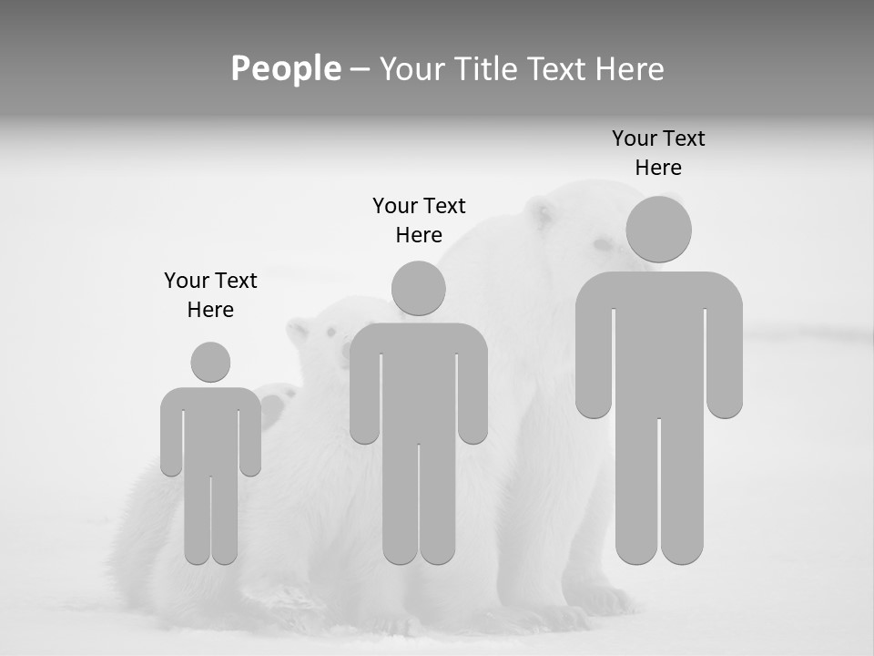 White Paw Northern PowerPoint Template