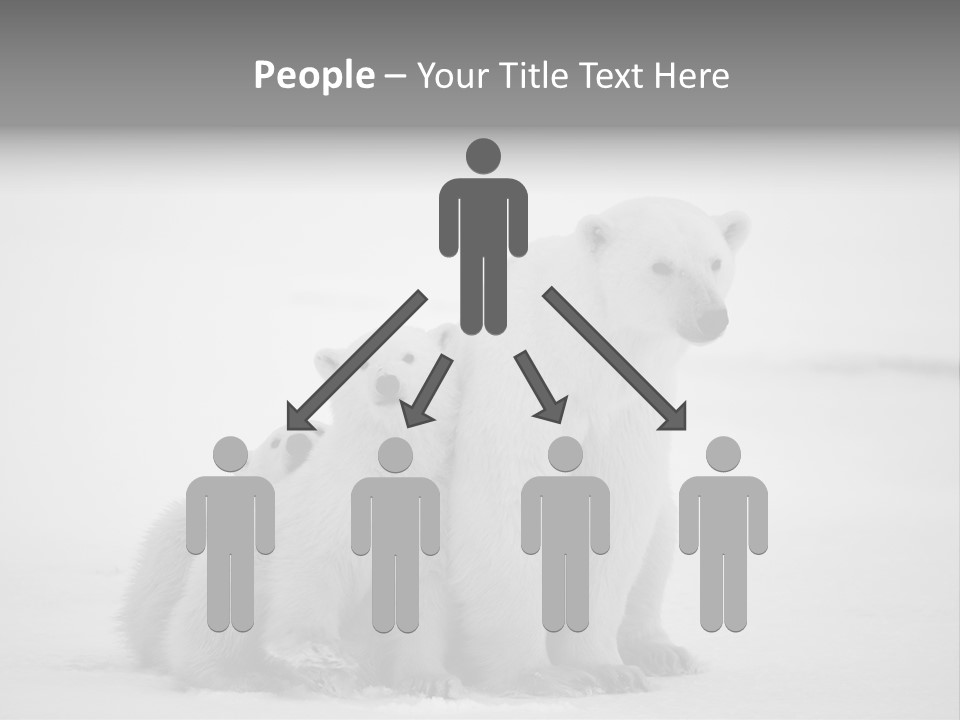 White Paw Northern PowerPoint Template