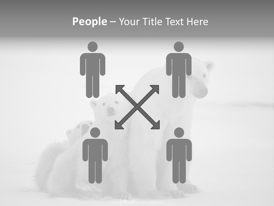 White Paw Northern PowerPoint Template