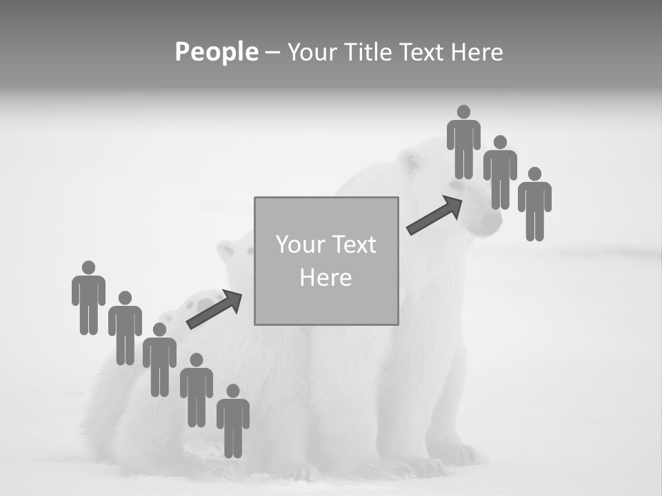 White Paw Northern PowerPoint Template