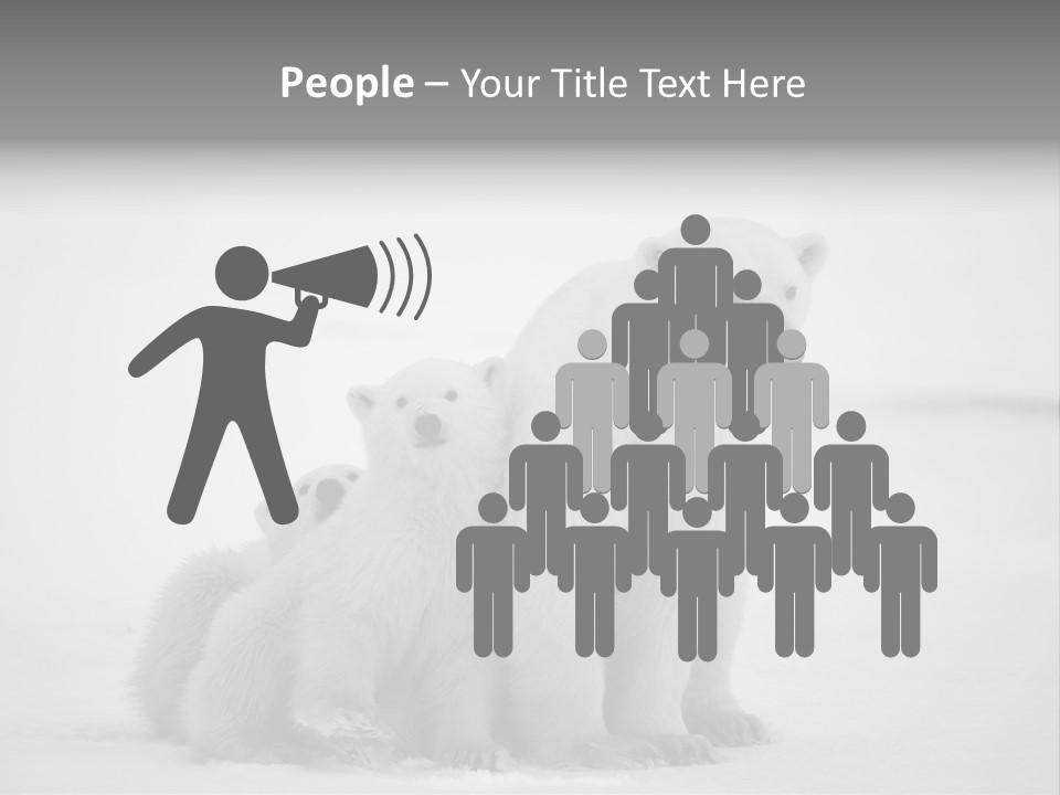 White Paw Northern PowerPoint Template