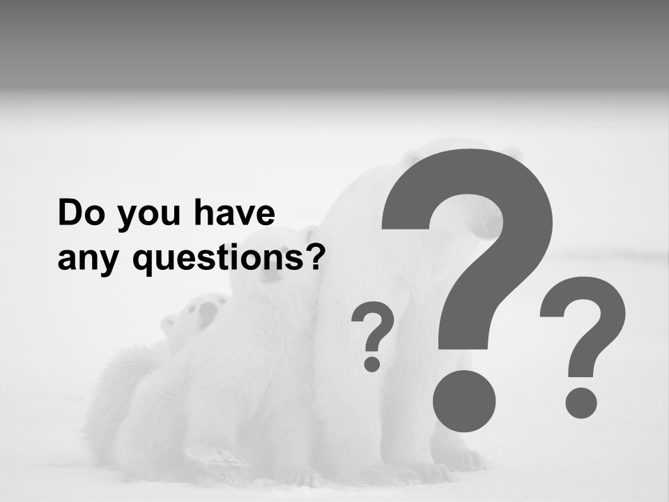 White Paw Northern PowerPoint Template