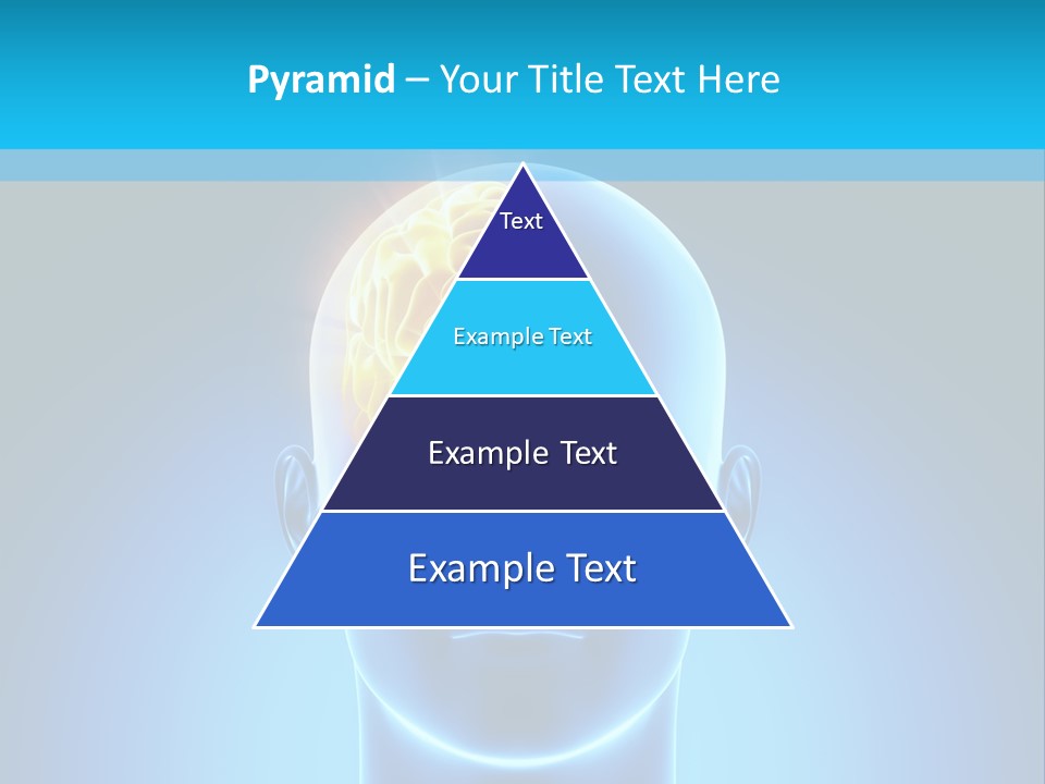 Stem Male Medicine PowerPoint Template