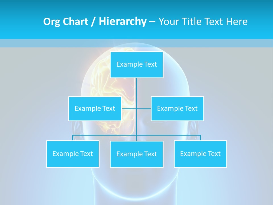 Stem Male Medicine PowerPoint Template