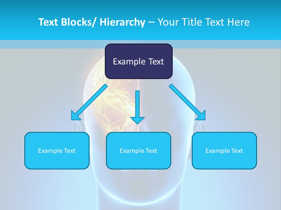 Stem Male Medicine PowerPoint Template