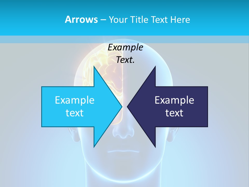 Stem Male Medicine PowerPoint Template