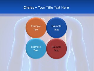 Rib Health Patient PowerPoint Template