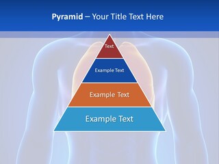 Rib Health Patient PowerPoint Template