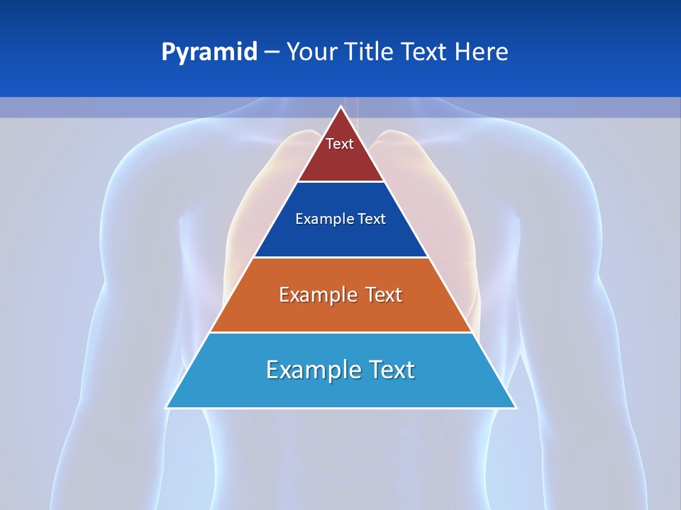 Rib Health Patient PowerPoint Template