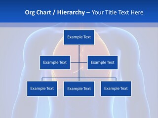Rib Health Patient PowerPoint Template