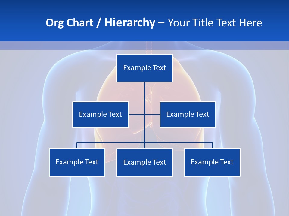 Rib Health Patient PowerPoint Template