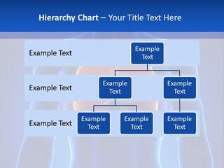 Rib Health Patient PowerPoint Template
