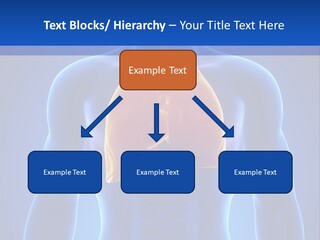 Rib Health Patient PowerPoint Template