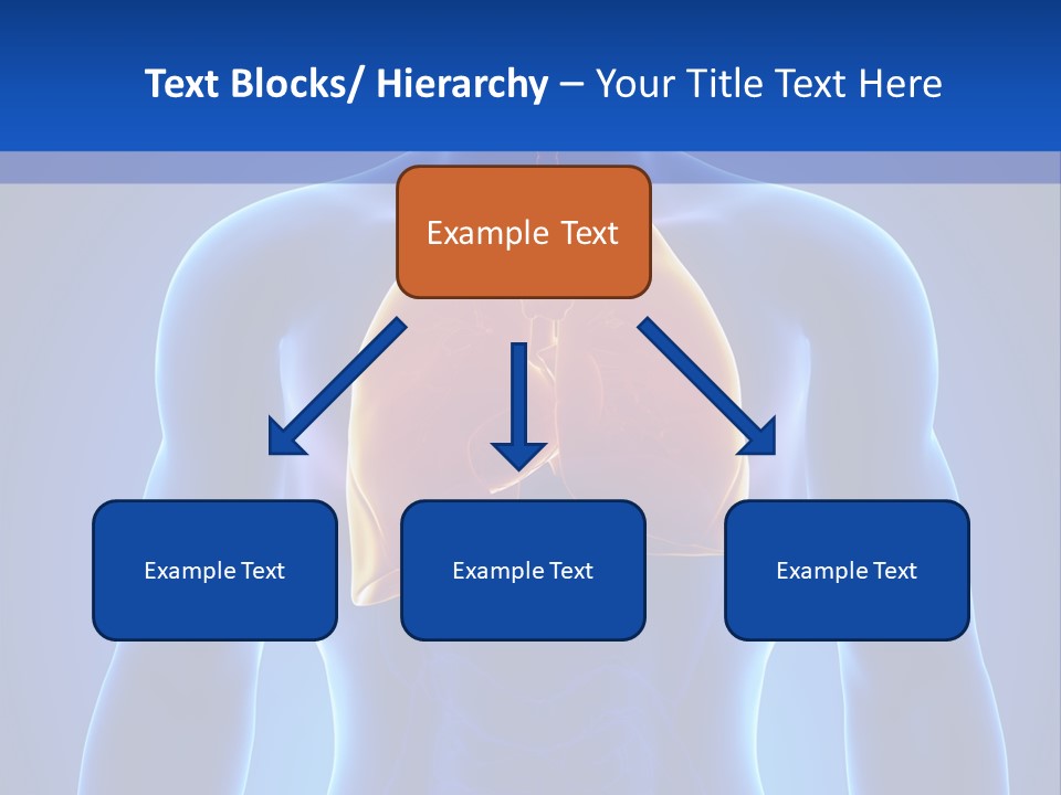 Rib Health Patient PowerPoint Template