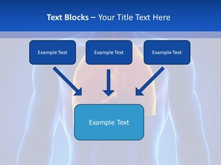 Rib Health Patient PowerPoint Template