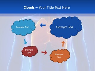 Rib Health Patient PowerPoint Template