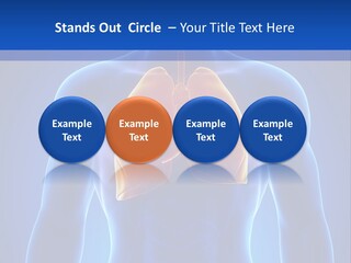 Rib Health Patient PowerPoint Template