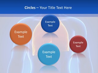 Rib Health Patient PowerPoint Template