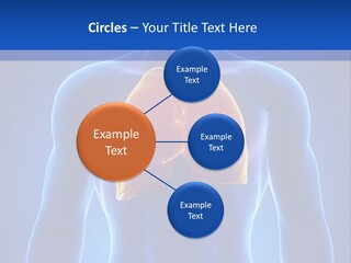 Rib Health Patient PowerPoint Template