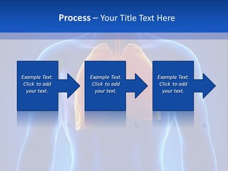 Rib Health Patient PowerPoint Template
