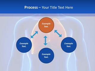 Rib Health Patient PowerPoint Template