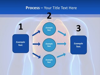 Rib Health Patient PowerPoint Template