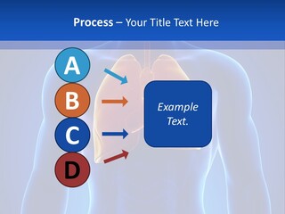 Rib Health Patient PowerPoint Template