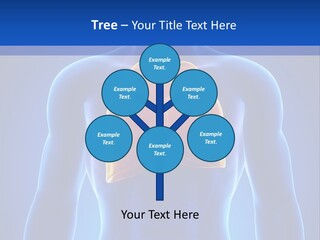 Rib Health Patient PowerPoint Template