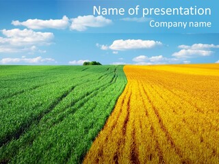 Outdoor Plain Yellow PowerPoint Template