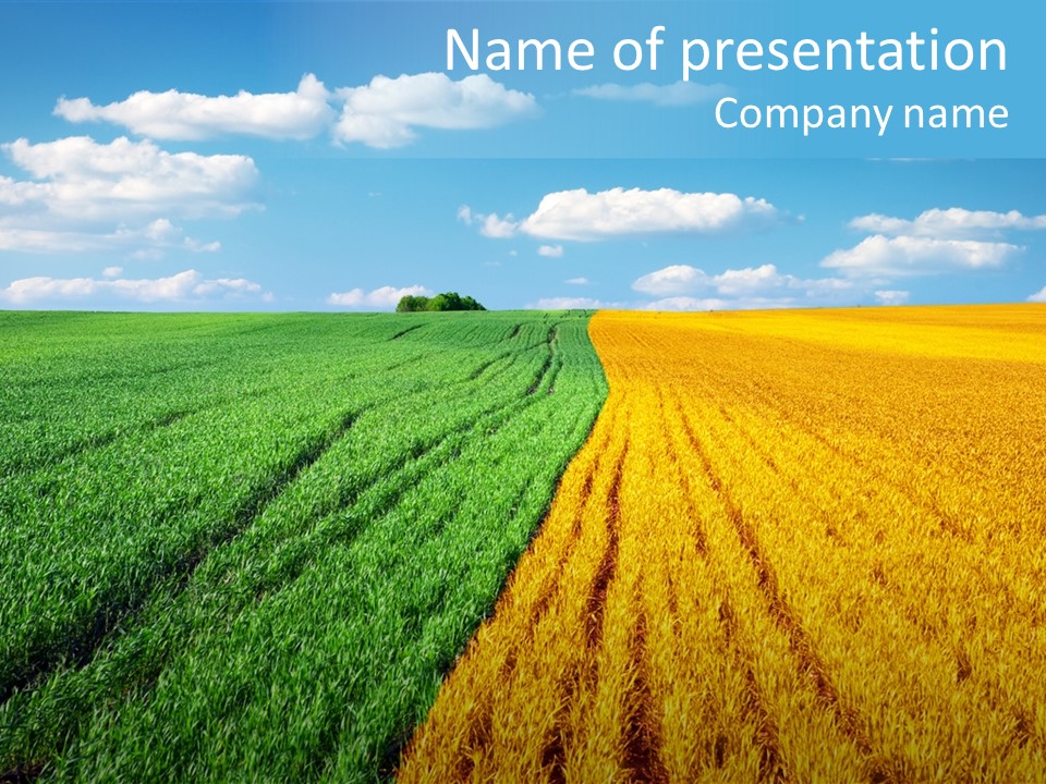 Outdoor Plain Yellow PowerPoint Template