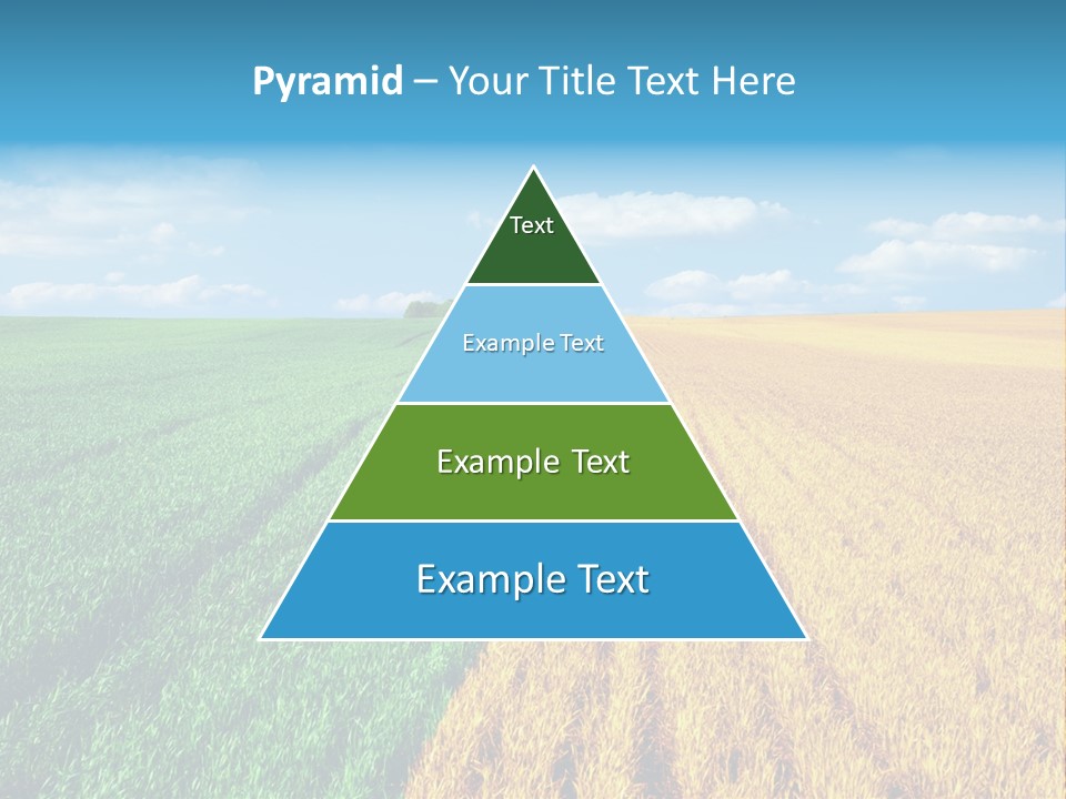 Outdoor Plain Yellow PowerPoint Template