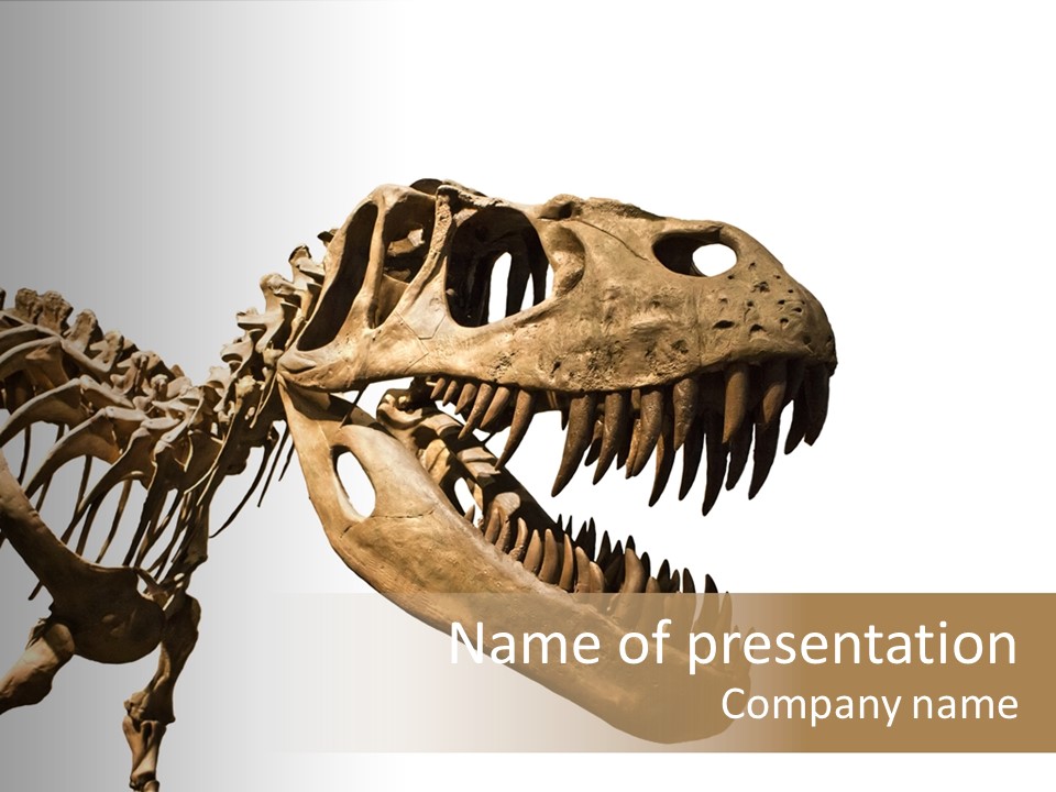 Red Museum Stone PowerPoint Template