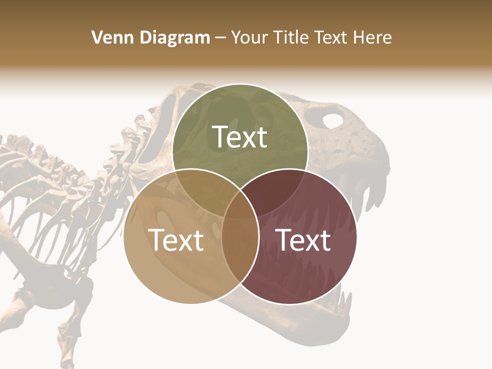 Red Museum Stone PowerPoint Template