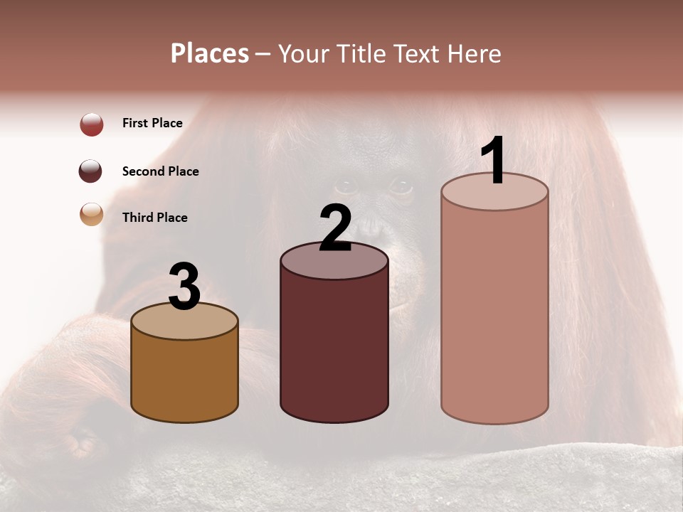 Plant Soil Agriculture PowerPoint Template