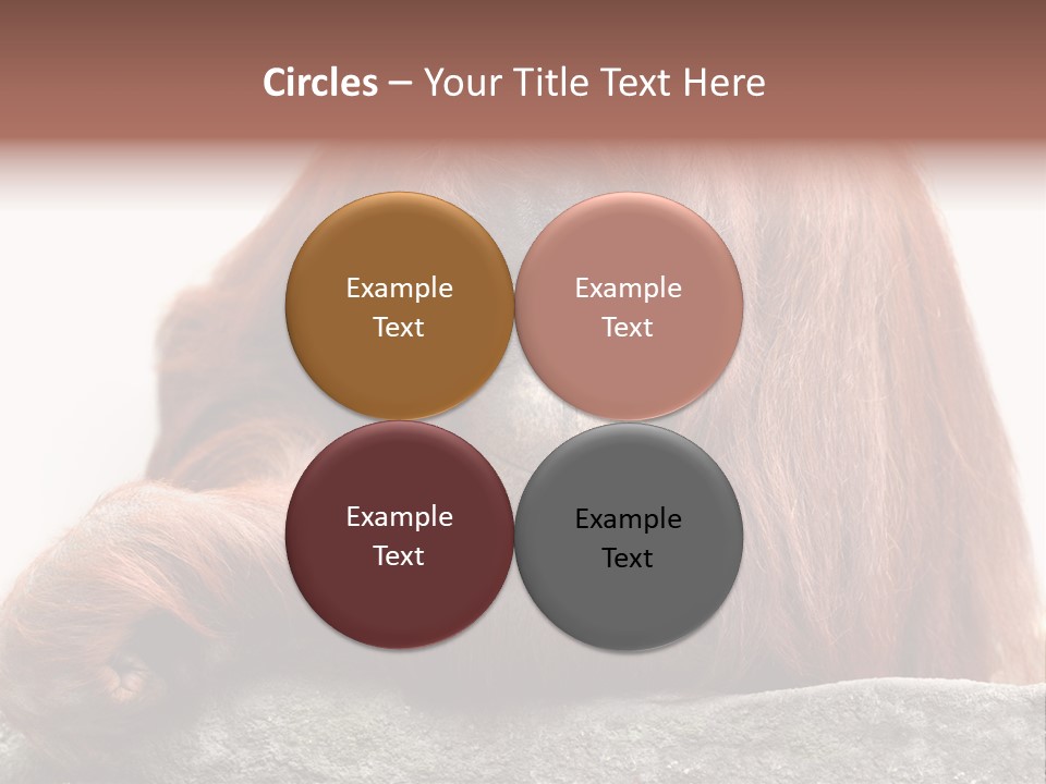 Plant Soil Agriculture PowerPoint Template