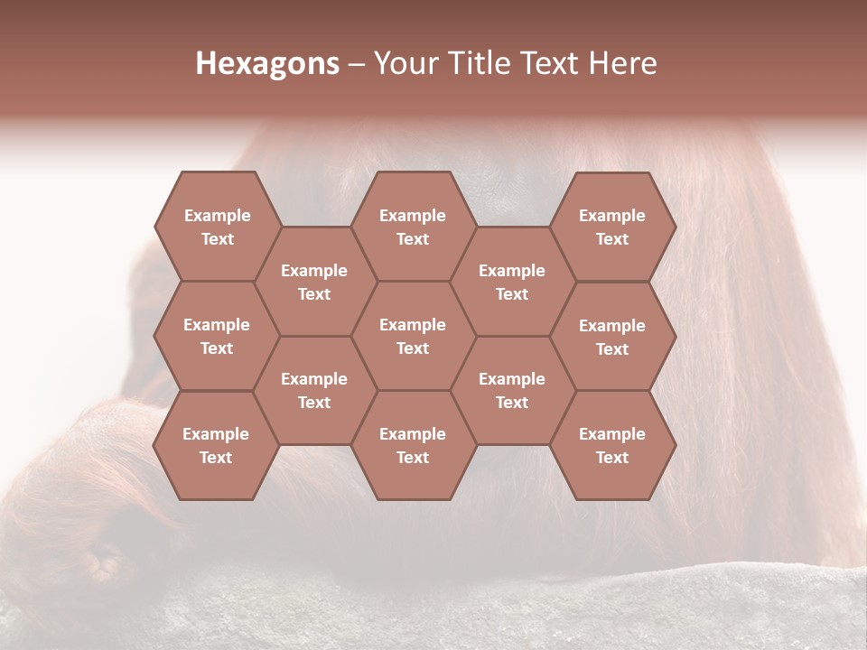 Plant Soil Agriculture PowerPoint Template
