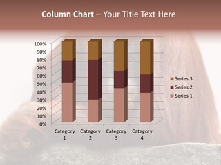 Plant Soil Agriculture PowerPoint Template