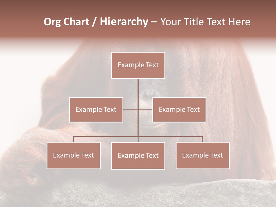 Plant Soil Agriculture PowerPoint Template