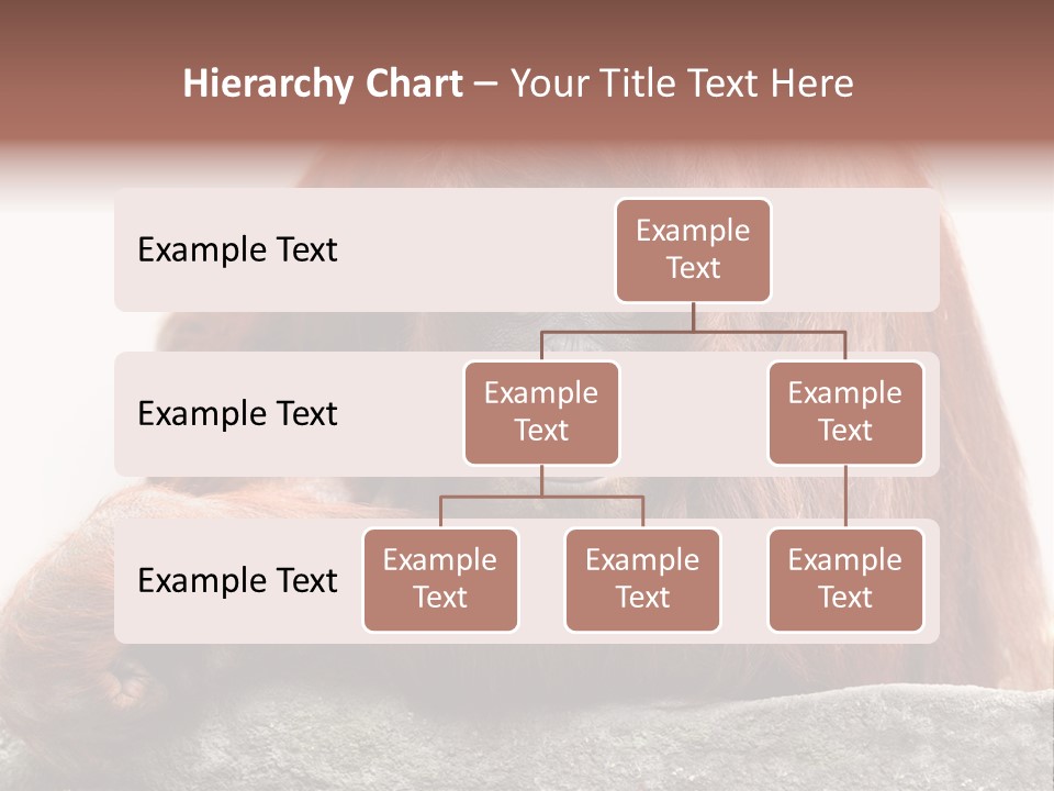 Plant Soil Agriculture PowerPoint Template