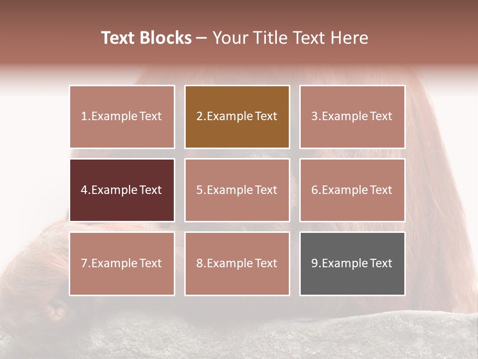 Plant Soil Agriculture PowerPoint Template