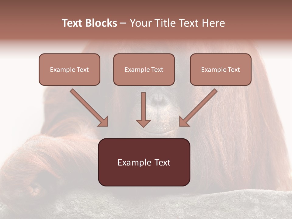 Plant Soil Agriculture PowerPoint Template