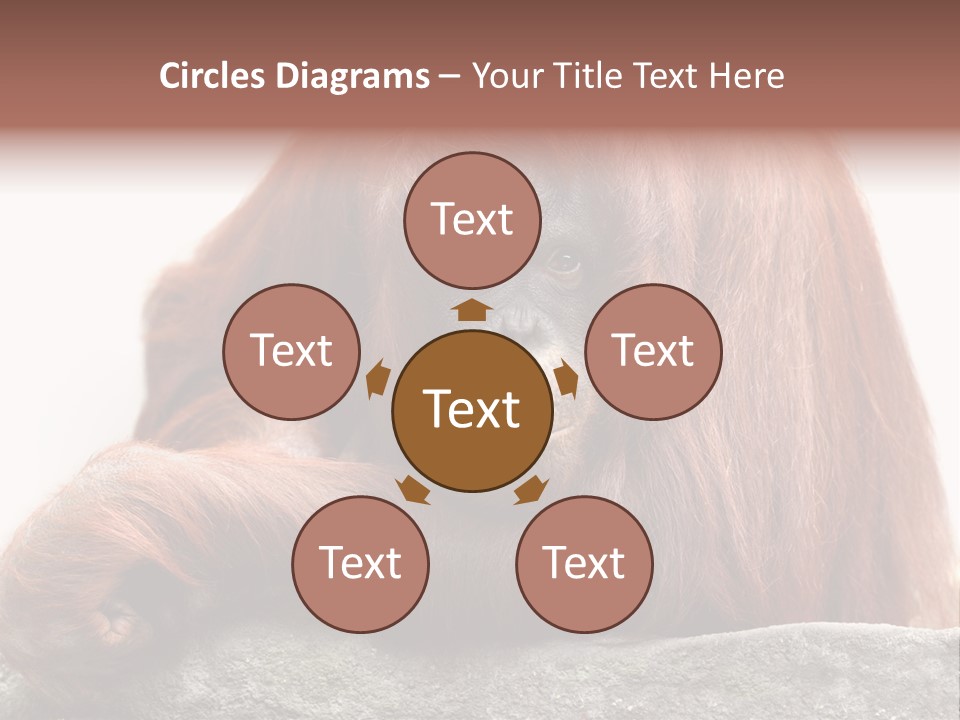Plant Soil Agriculture PowerPoint Template