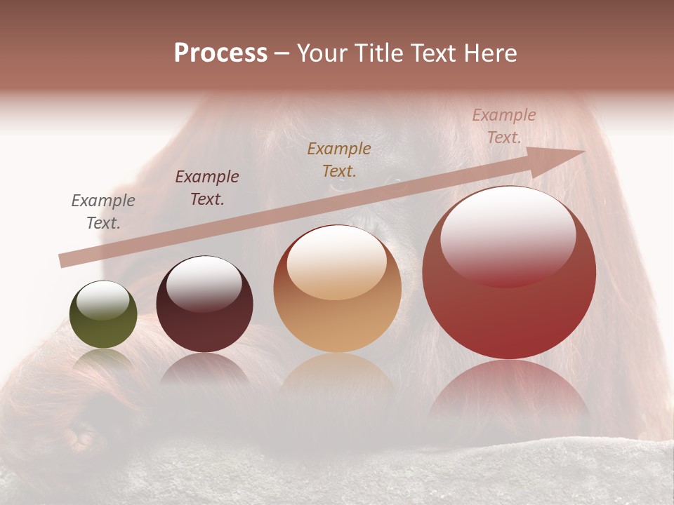 Plant Soil Agriculture PowerPoint Template