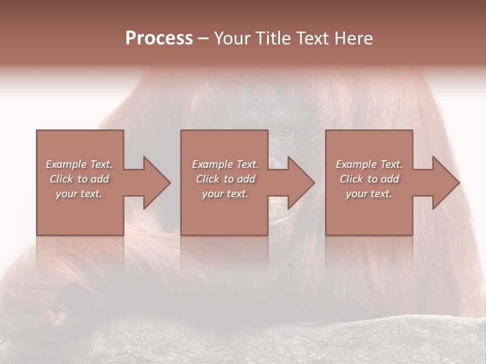 Plant Soil Agriculture PowerPoint Template