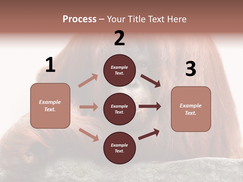 Plant Soil Agriculture PowerPoint Template