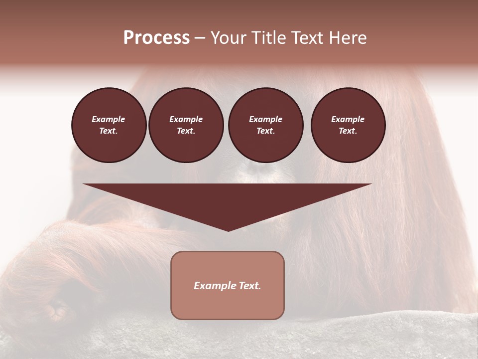 Plant Soil Agriculture PowerPoint Template