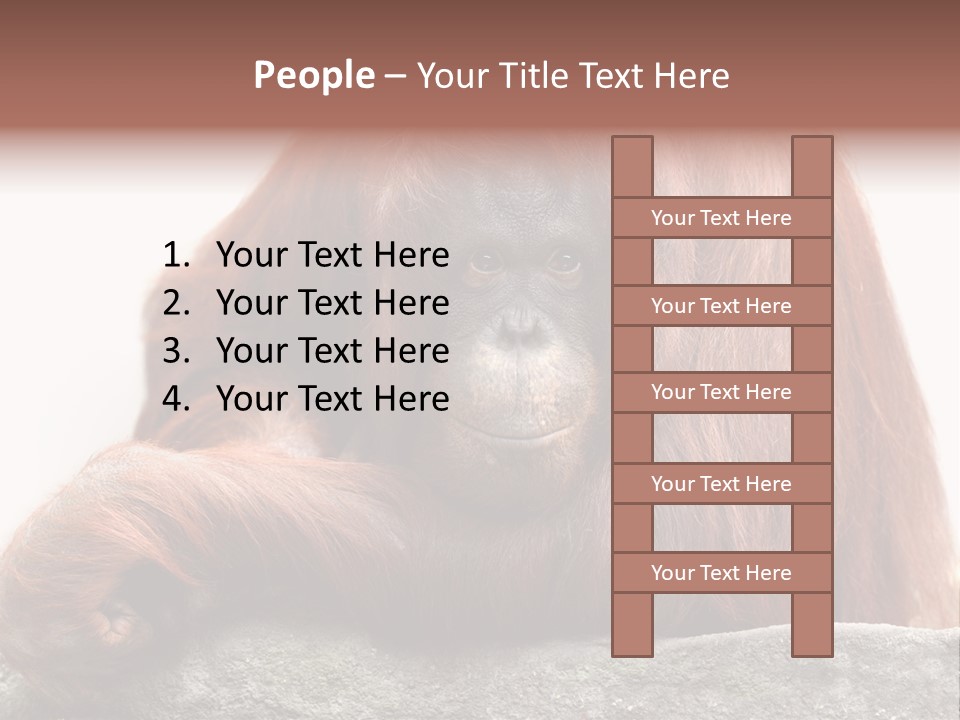 Plant Soil Agriculture PowerPoint Template