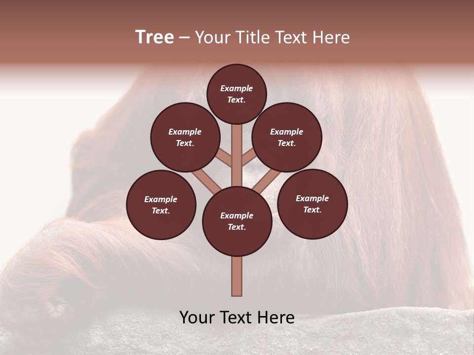 Plant Soil Agriculture PowerPoint Template