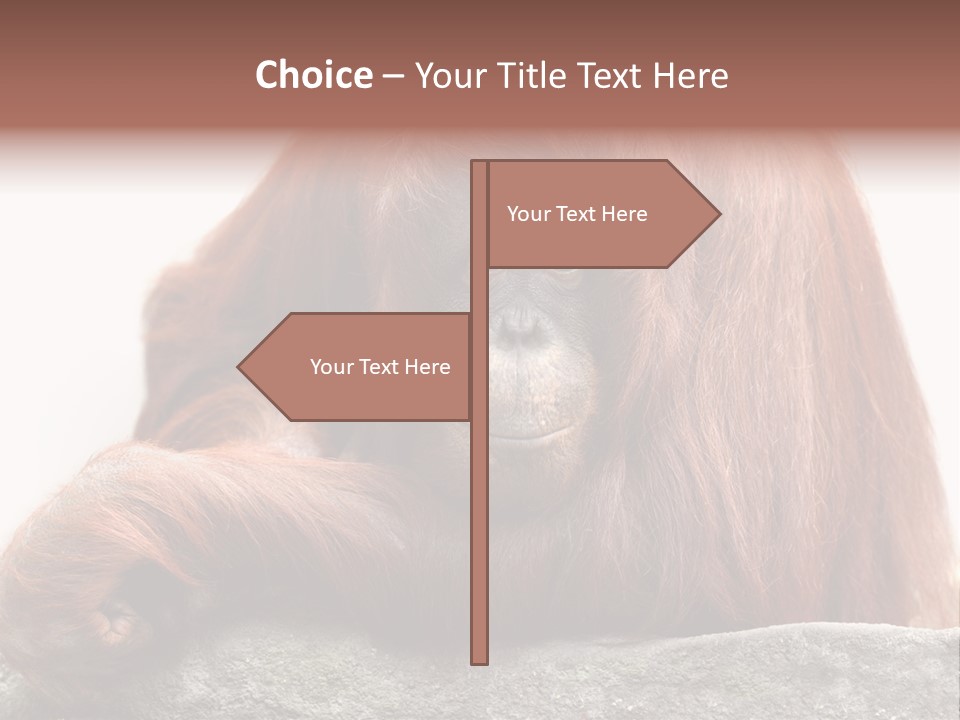 Plant Soil Agriculture PowerPoint Template